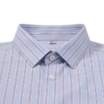 Dress Shirt Stripe Shirt